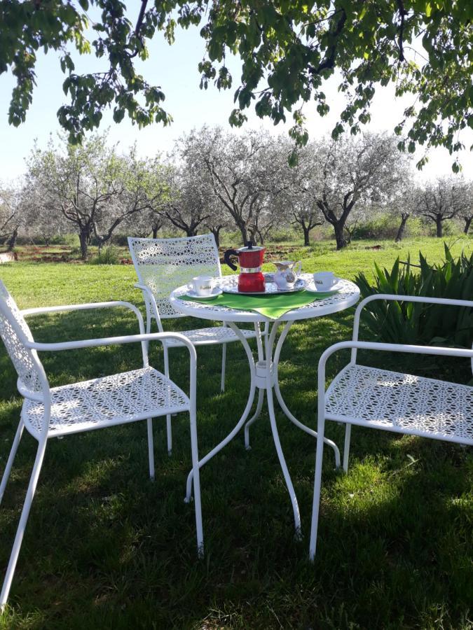 Holiday home Casa Ani Umag